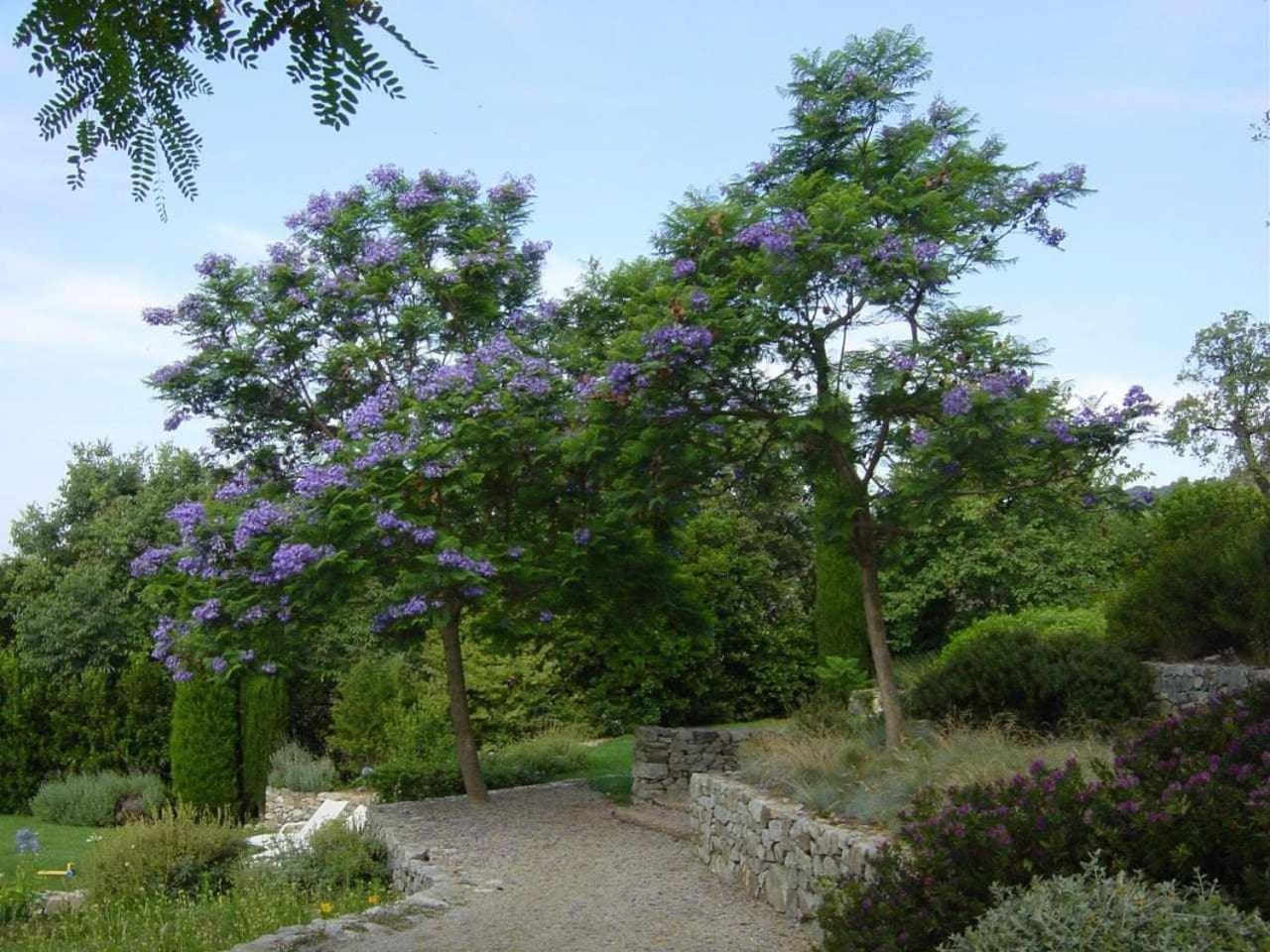 Ca Landreu Ecoturisme Villa Tiana Dış mekan fotoğraf