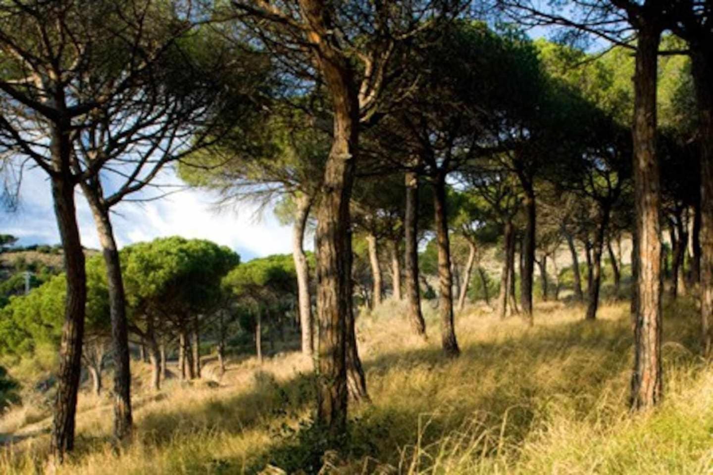 Ca Landreu Ecoturisme Villa Tiana Dış mekan fotoğraf